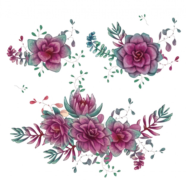 Set of floral succulents compositions in hand draw style