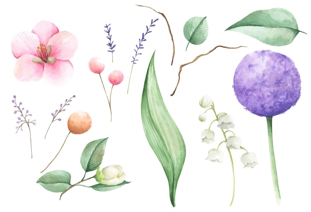 Set of floral watercolor illustration