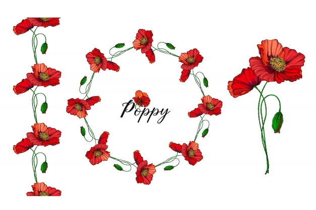 Vector set of flower arrangements with red poppy flowers