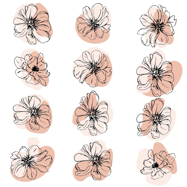 Set of flower buds vector isolated silhouette outlines