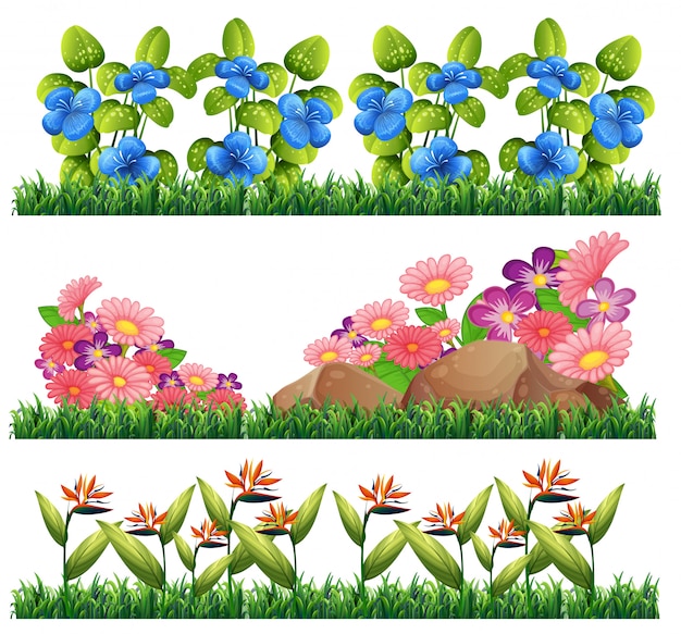 Vector set of flower decoration