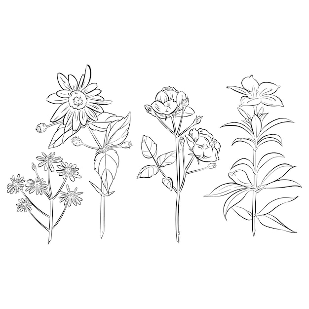 Set Flower icon design in hand drawn style