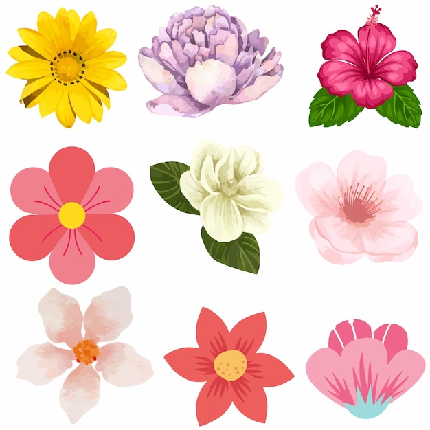 set flower illustration for decoration