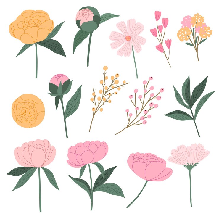 꽃 illustrtions의 집합