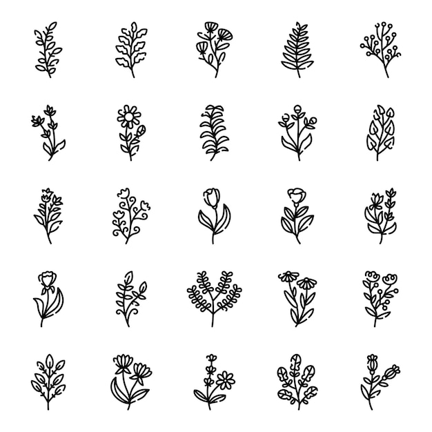 Set of flower and leaves line art vector