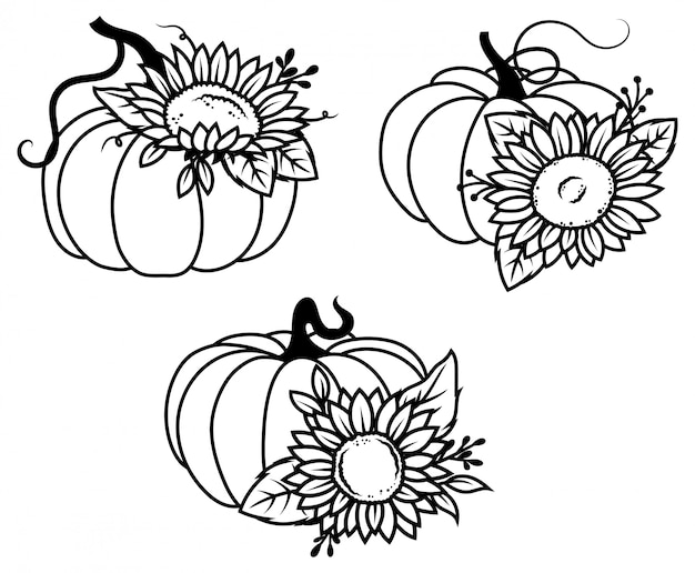 Vector set of flower pumpkins. сollection of silhouette pumpkins with a sunflower.