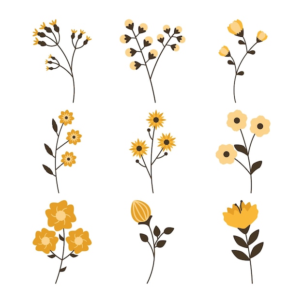 Set of flower vector in white background