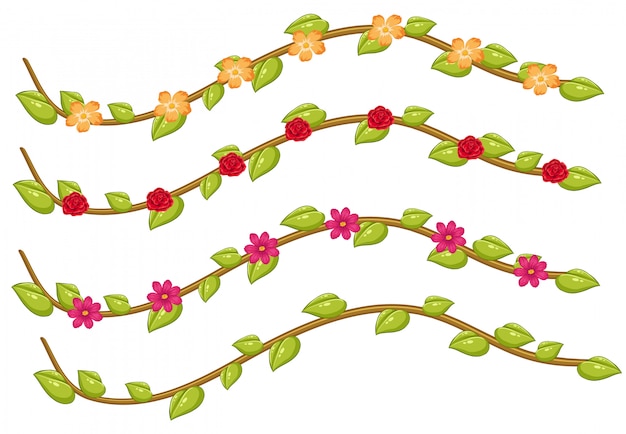 A set of flower vine