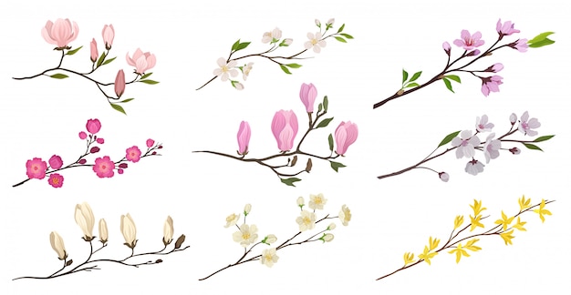 Set of flowering branches with small flowers and green leaves. Twigs of fruit trees. Detailed   icons