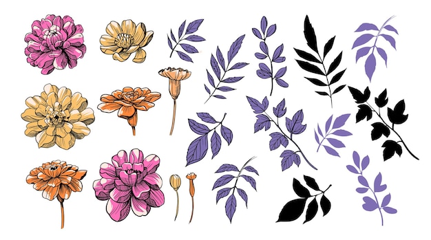 Set di fiori e rami illustrazione vettoriale clipart gruppo di oggetti per il design