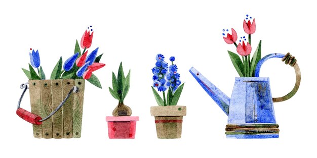 set of flowers in a bucket in pots and in a watering can potted flowers wooden bucket metal watering can tulips handdrawn watercolor illustrations isolated on a white background for postcards