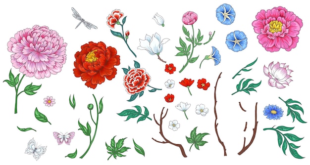 Set of flowers in chinese style