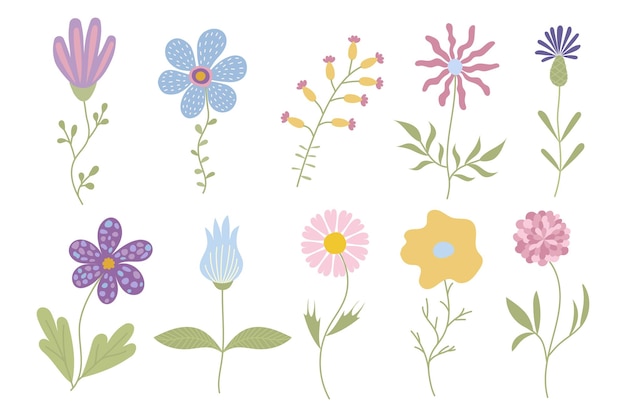 A set of flowers drawn by hand vector illustration