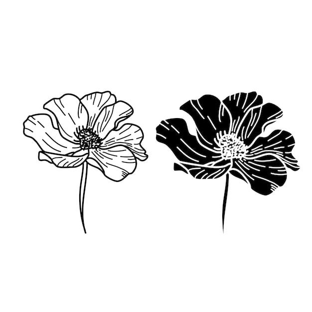 Vector set of flowers. flowers line art vector.