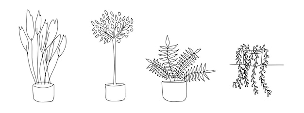 Set of flowers for home Flowers in pots are drawn with a black line on a white background