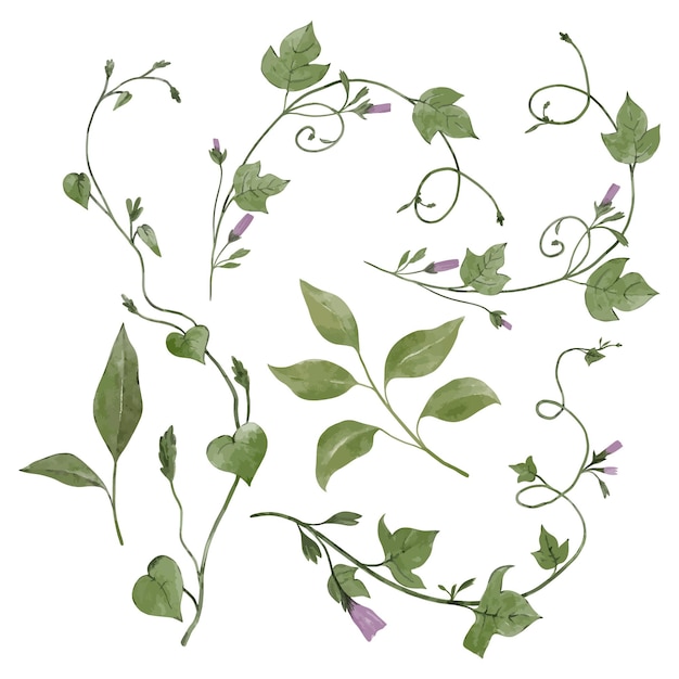 Vector set of flowers and leaves