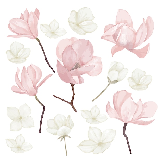 Vector set of flowers and leaves