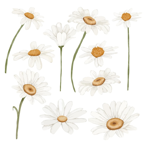 Vector set of flowers and leaves