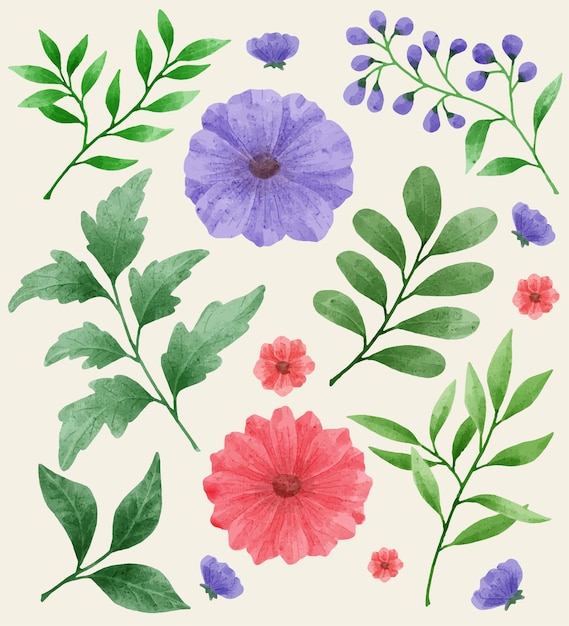 A set of flowers painted with watercolors to accompany various cards and greeting cards