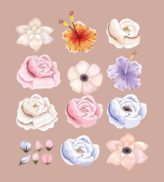 Vector set of flowers painting design, natural floral nature plant ornament garden decoration and botany theme illustration