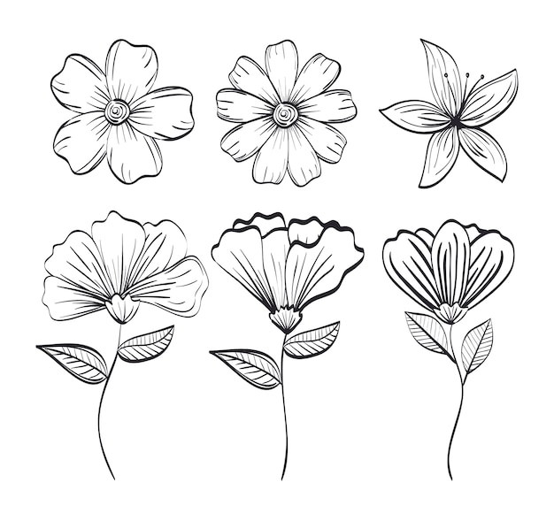 Vector set flowers rustic and monochrome decoration
