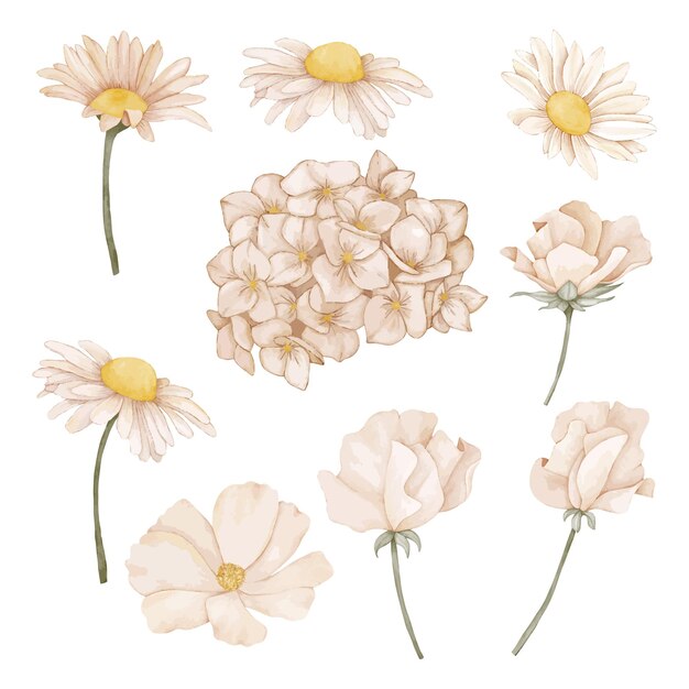 Vector a set of flowers on a white background