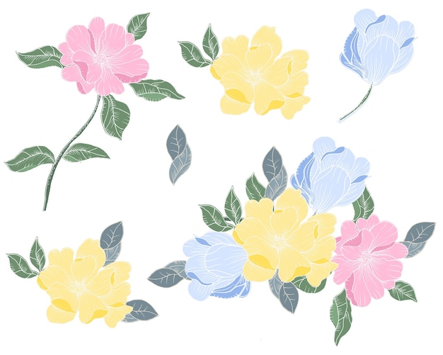 A set of flowers on a white background.