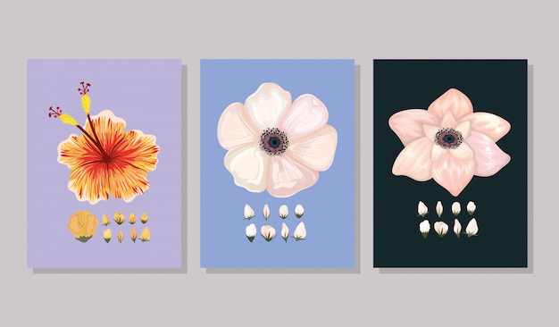 Set of flowers with buds painting in frames