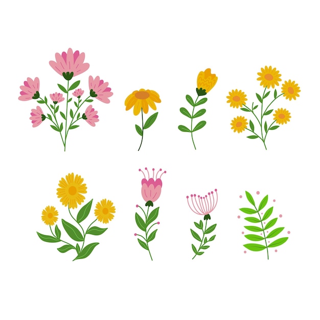 A set of flowers with different colors and the word flower on the bottom.