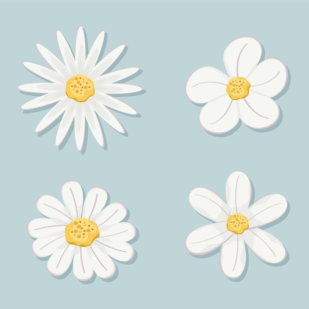 Vector set of flowers with white leaves