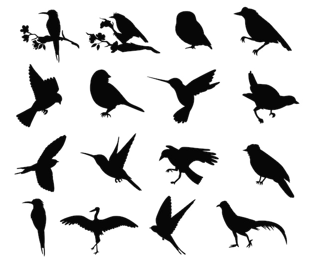 Set of flying bird different poses flat vector silhouettes