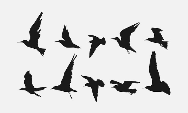 Set of flying bird silhouettes side view vector illustration