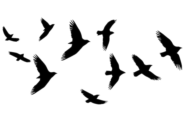 Set of flying birds Vector silhouettes