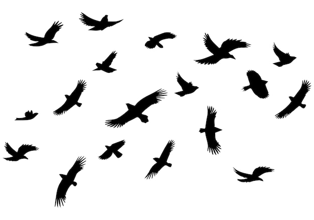 Set of flying birds Vector silhouettes