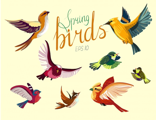 Vector set of flying birds