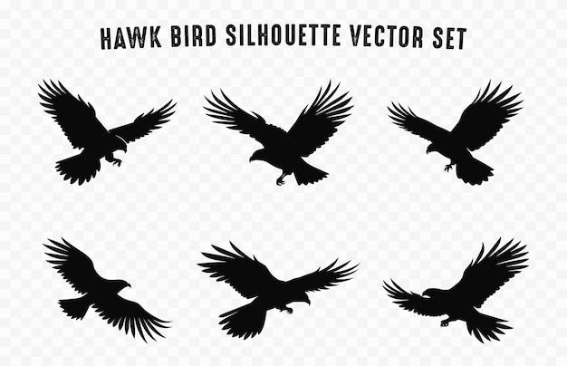 Vector set of flying hawk bird vector silhouettes hawk birds black silhouette icon bundle