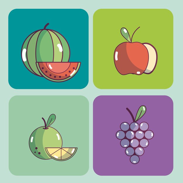 Set of food collection on colorful squares icons