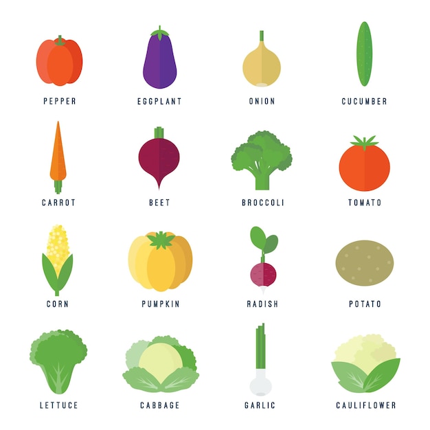 Set of food icons vegetables and fruits and text in flat style for web and mobile app design