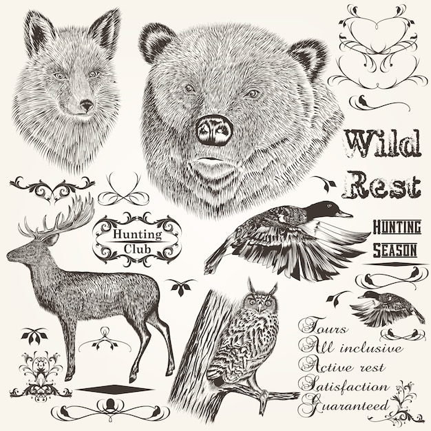 Set of forest animals illustrated and ornaments