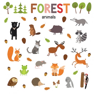 Premium Vector | Set of forest animals made in flat style vector. zoo ...