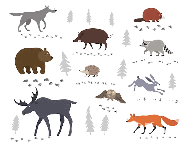 Un insieme di animali della foresta e le loro impronte lepre, volpe, cinghiale, lupo, orso, alce, riccio, castoro