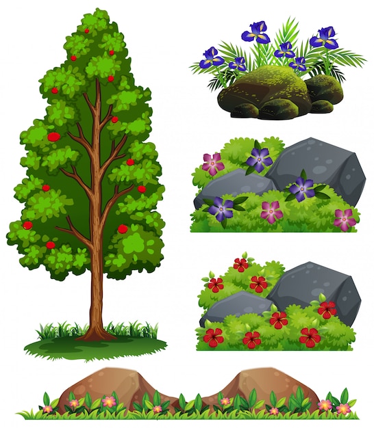 Vector a set of forest element