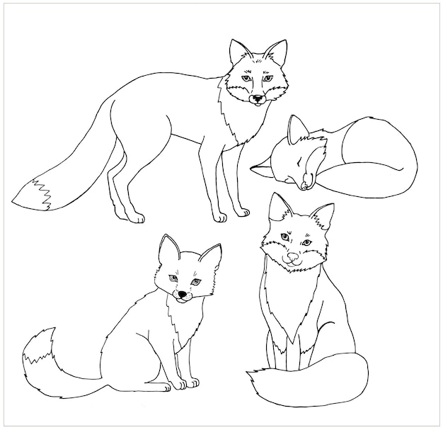 Set forest foxes in doodle style Vector illustration