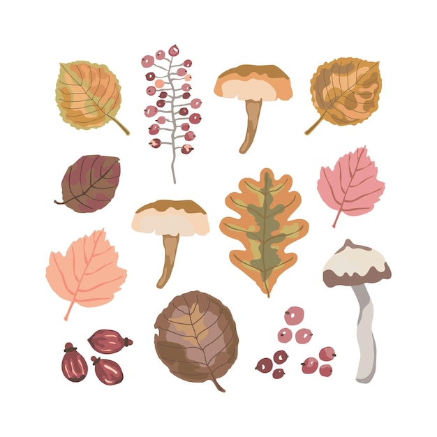 Set of forest life objects mushrooms leaves berries Watercolor effect hand drawn vector Autumn fall