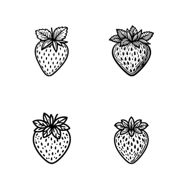 Set di quattro illustrazioni a mano di fragole in bianco e nero