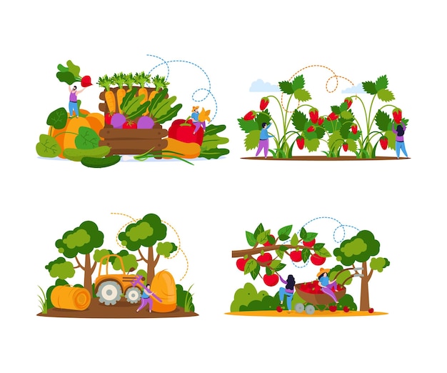 Set of four isolated harvesting compositions with flat human characters and images of plants and trees vector illustration