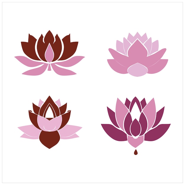 A set of four lotus flowers with different colors.