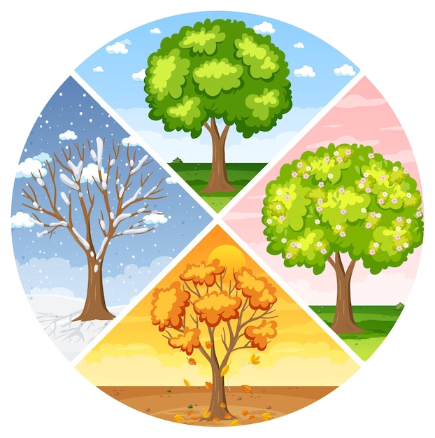 Set of four seasons backgrounds