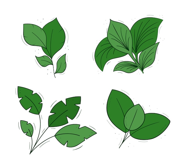 Un insieme di quattro piante tropicali con foglie larghe oggetti colorati isolati su fondo bianco