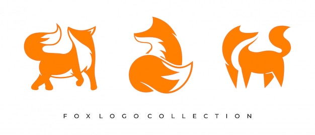 Set of fox logo concept.